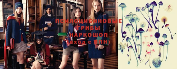 apvp Алексеевка
